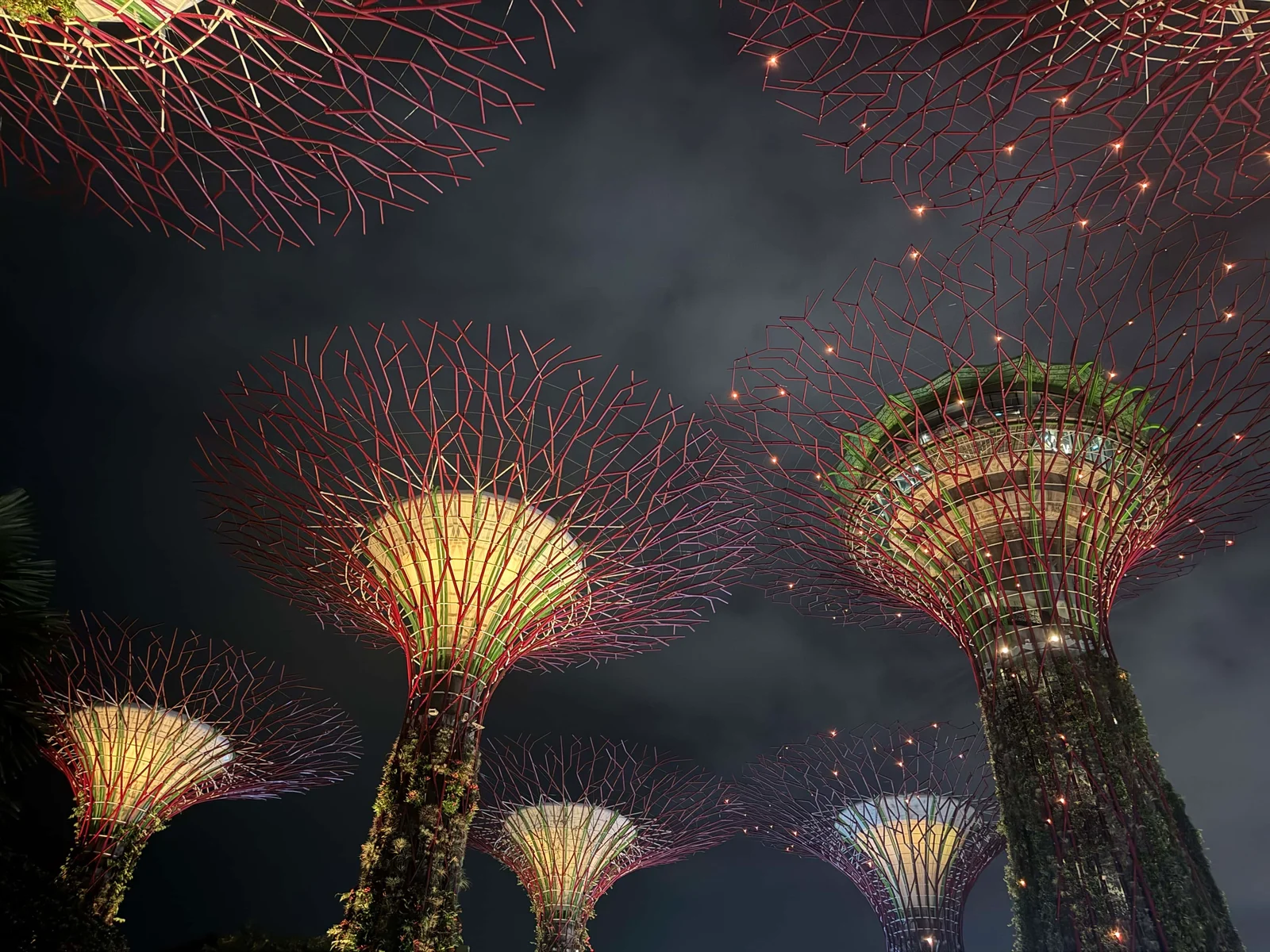 Supertree Grove at night Singapore