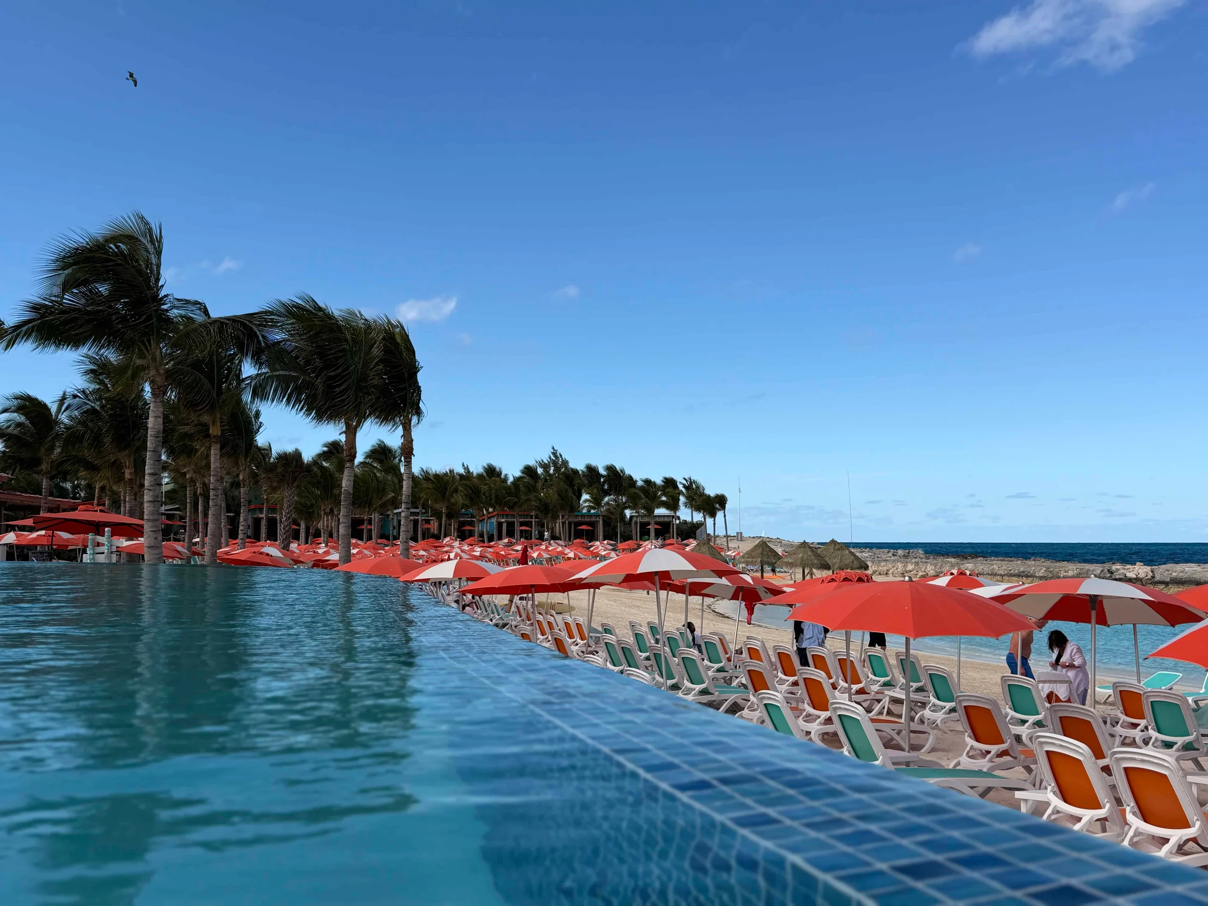 Infinity pool overlooking beach umbrellas
