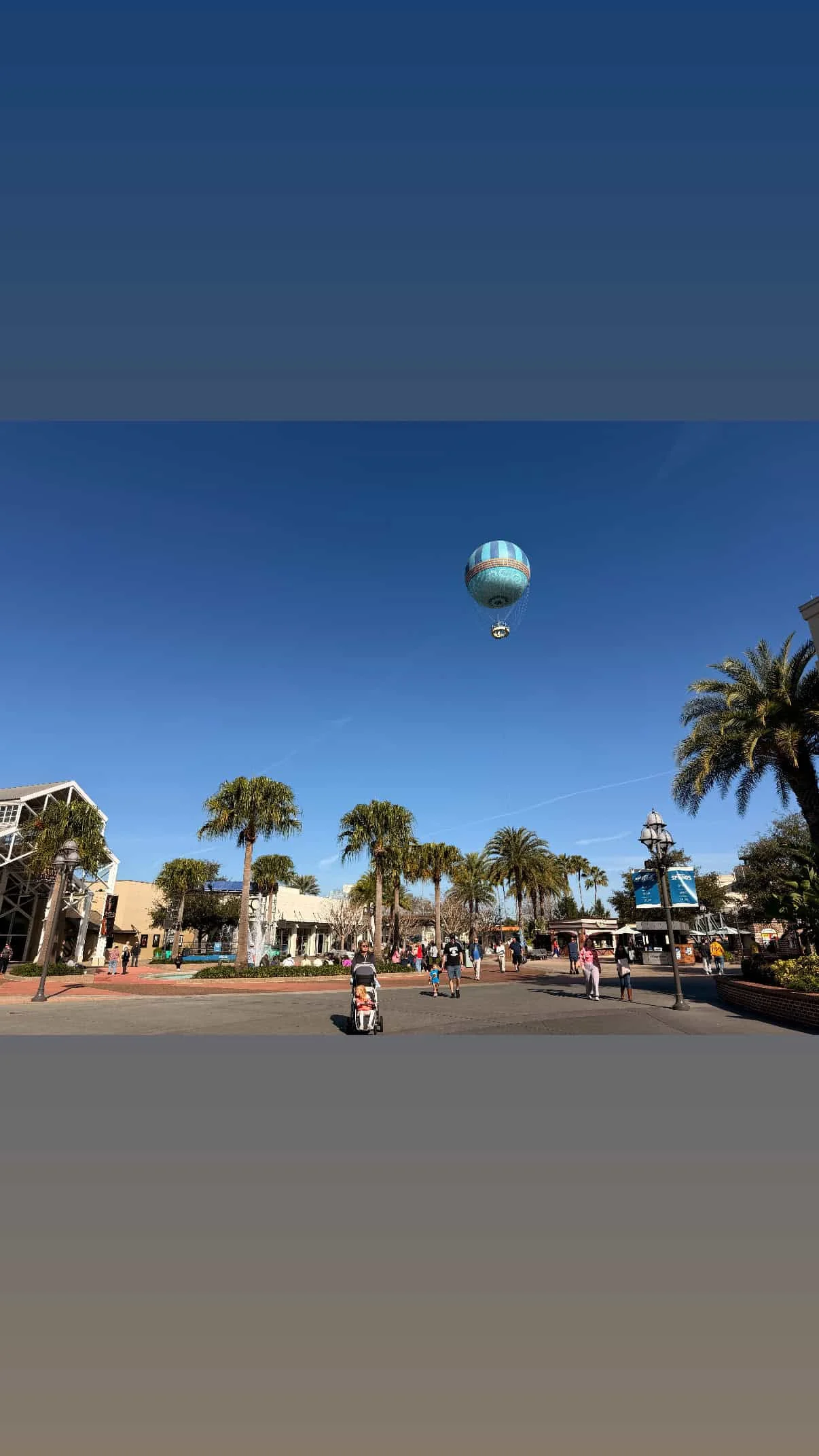 Hot air balloon over palm trees