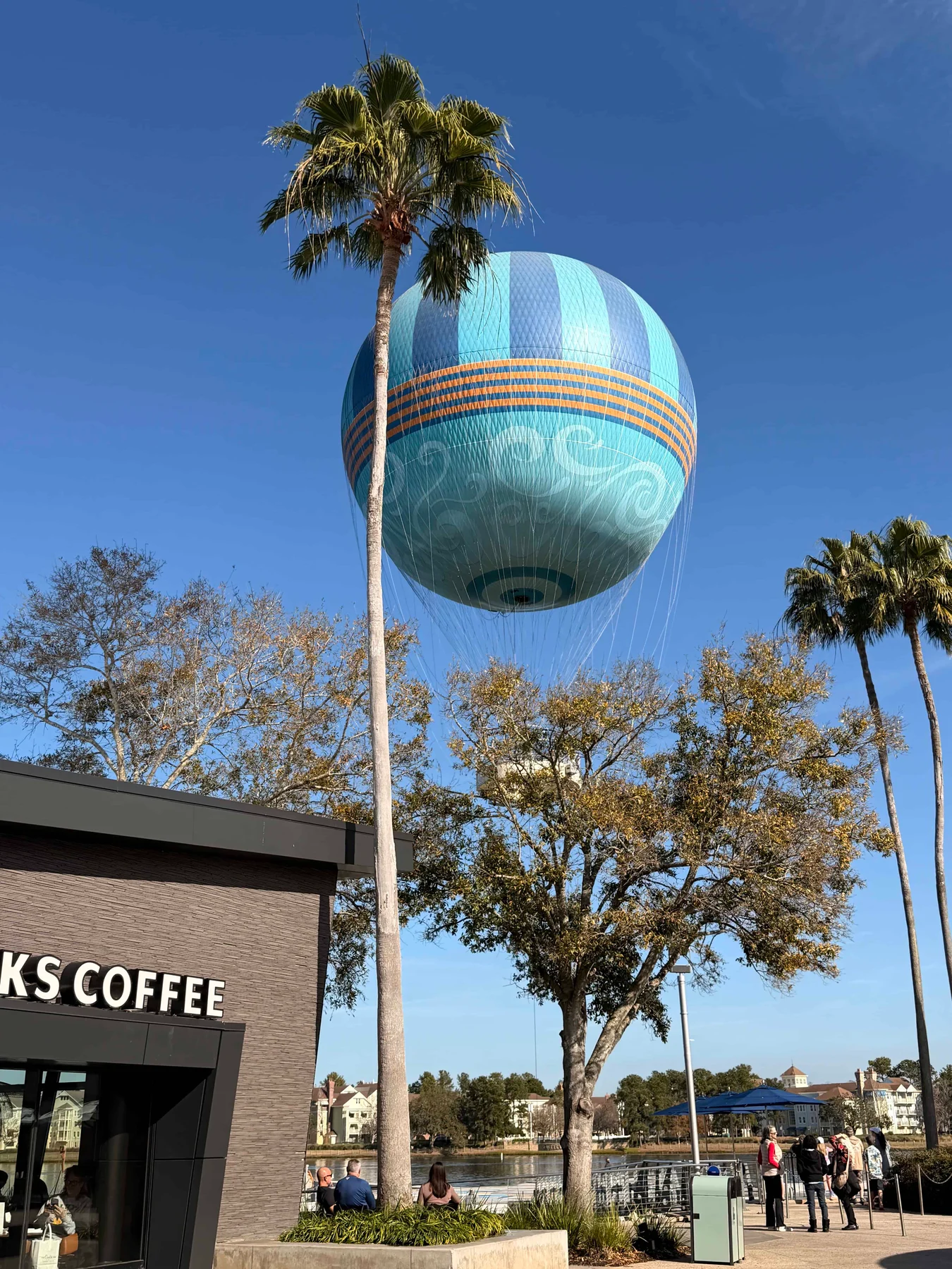 Blue hot air balloon over trees