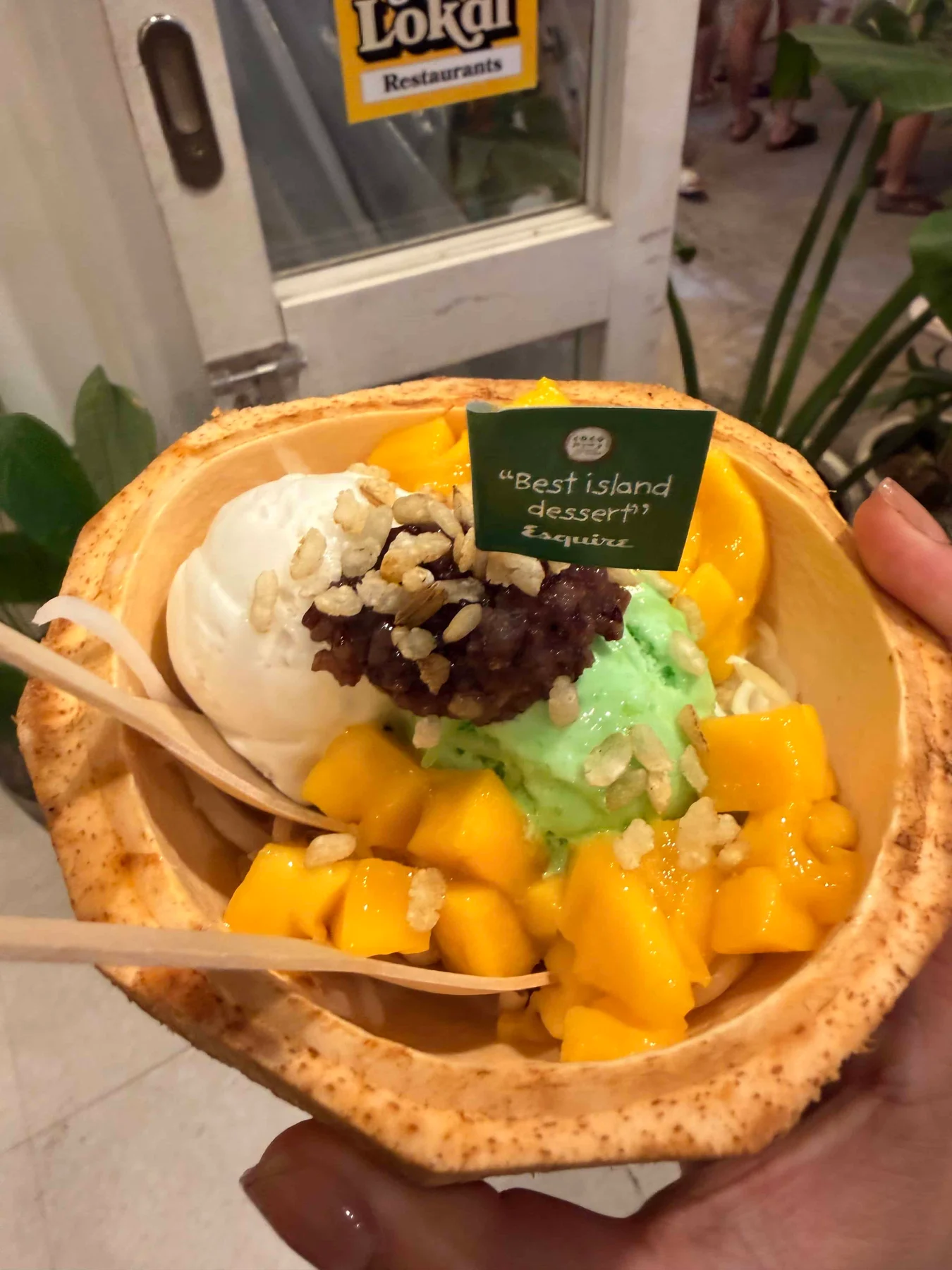 Coconut bowl with ice cream