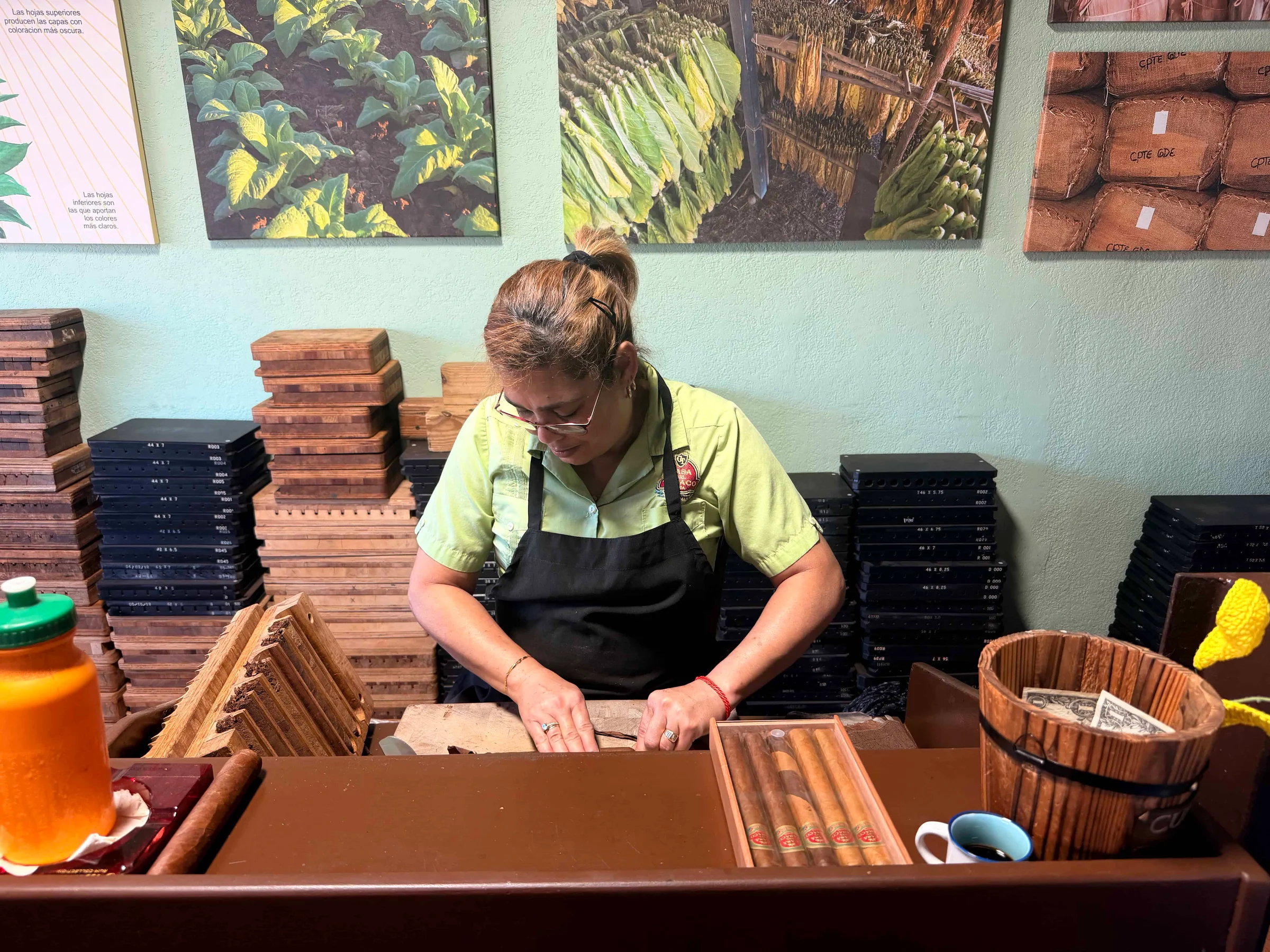 Woman rolling cigars at workstation