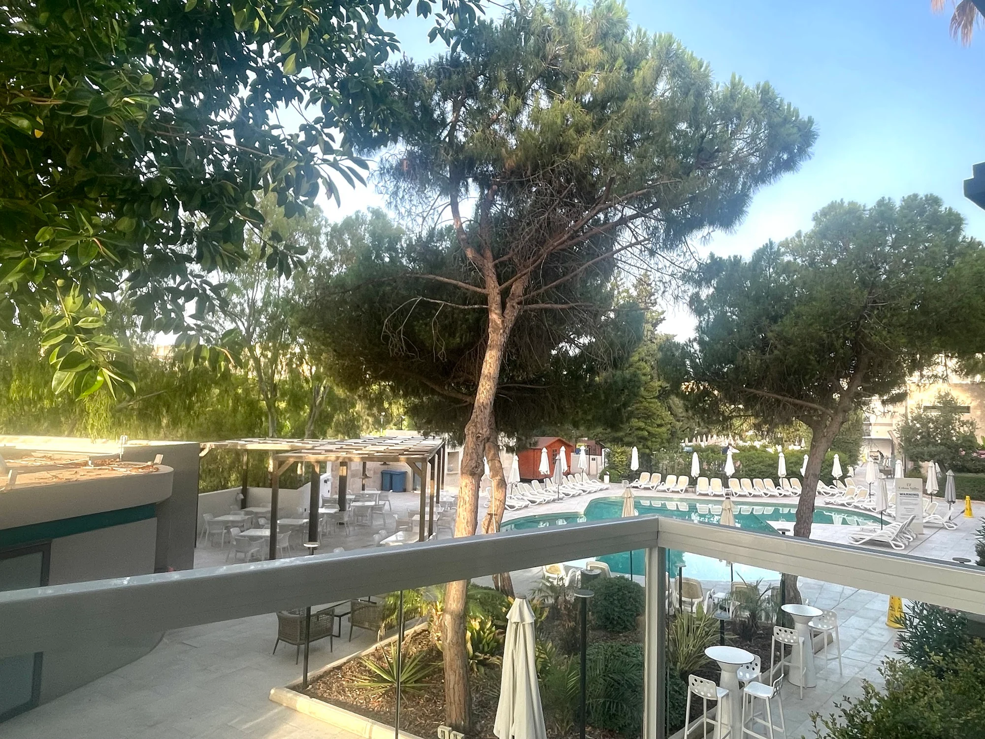 A hotel pool area with sun loungers and parasols surrounded by tall pine and leafy trees viewed from a glass-railed balcony.