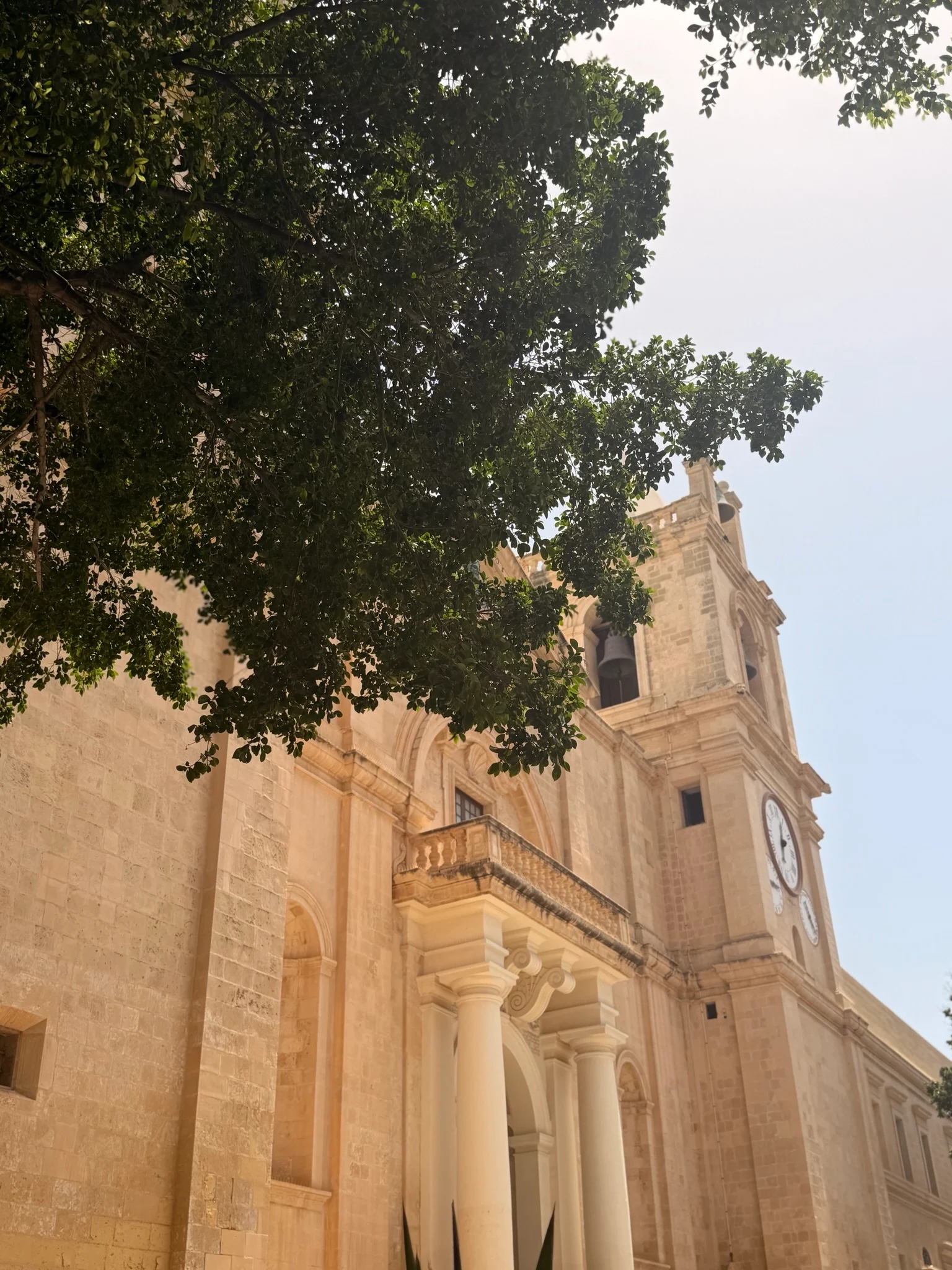 Pale limestone church tower with a clock face, seen from below through the spreading branches of a large tree.