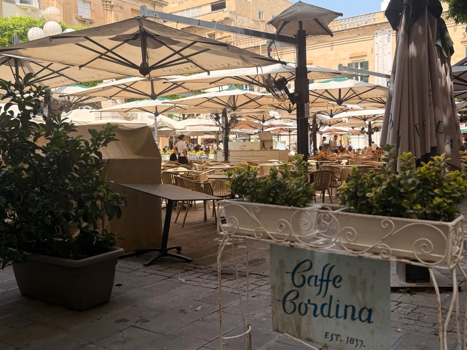 Outdoor cafe terrace with large cream umbrellas, tables, chairs and potted plants beside a Caffe Cordina Est 1837 sign.