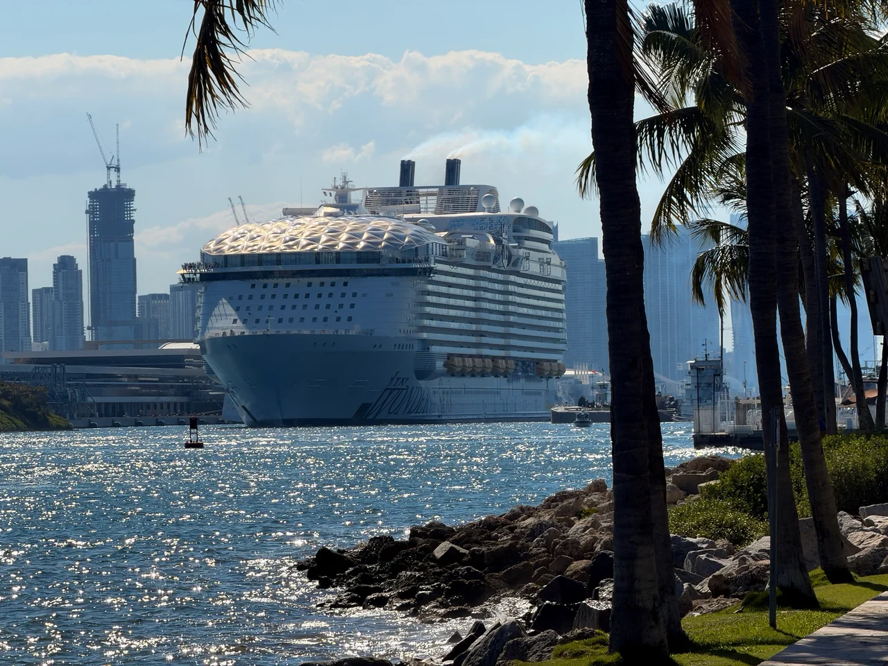A large cruise ship docked in a harbour with a city skyline and palm trees in the foreground under a partly cloudy sky.