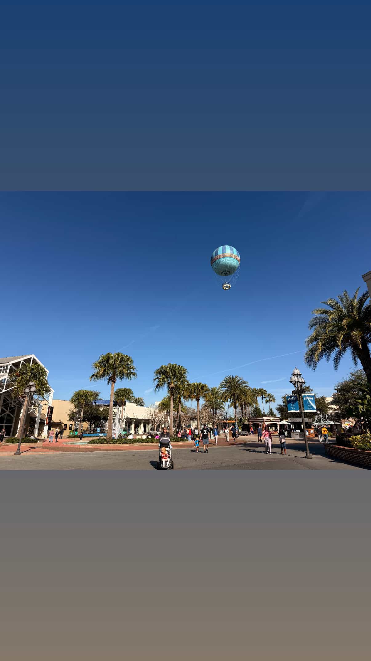 Hot air balloon over palm trees
