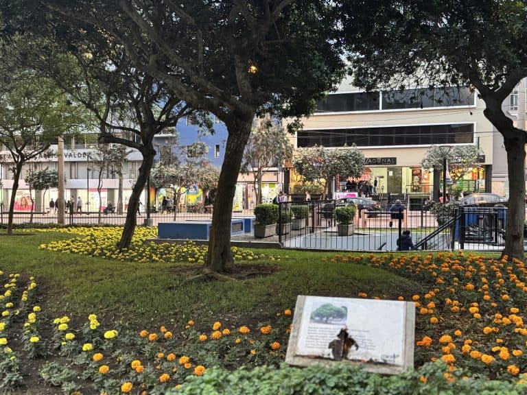 City square with flowers and trees
