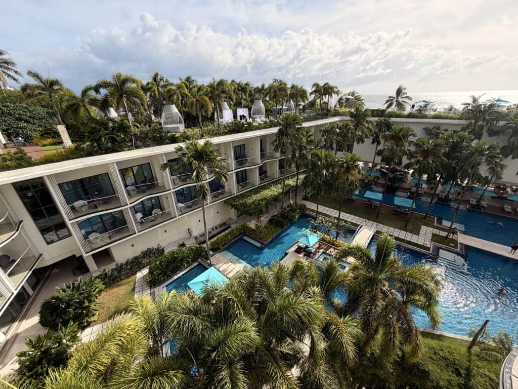 Swimming pool surrounded by palm trees