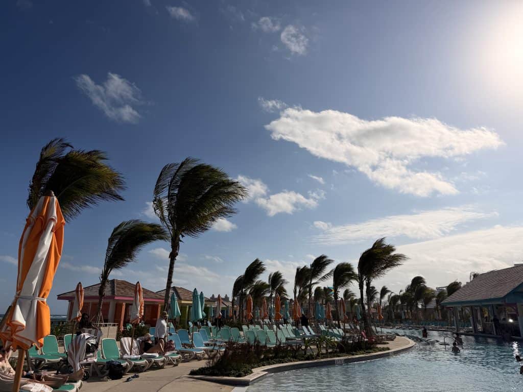 Poolside with palm trees umbrellas
