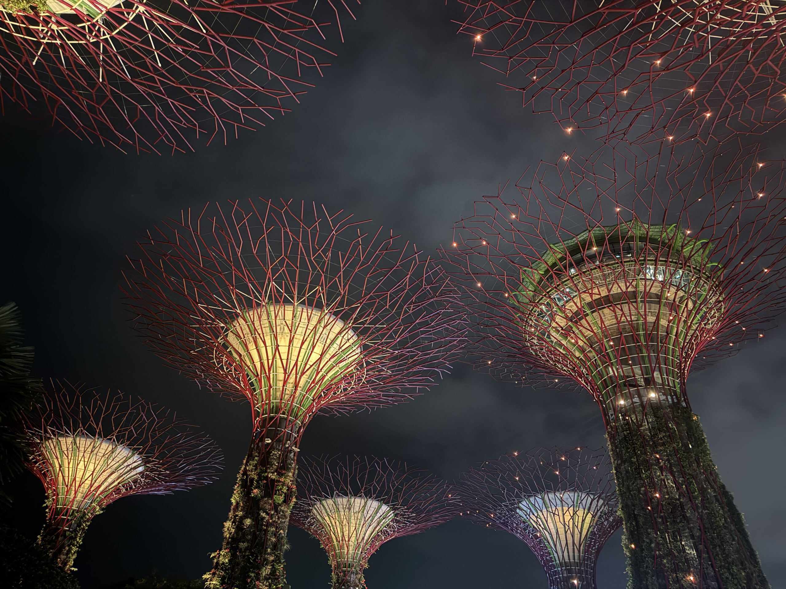 Supertree Grove at night Singapore