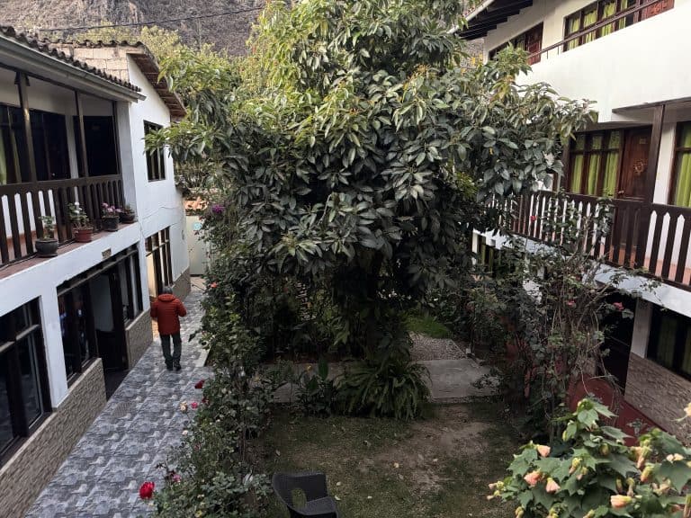 Courtyard garden with surrounding buildings