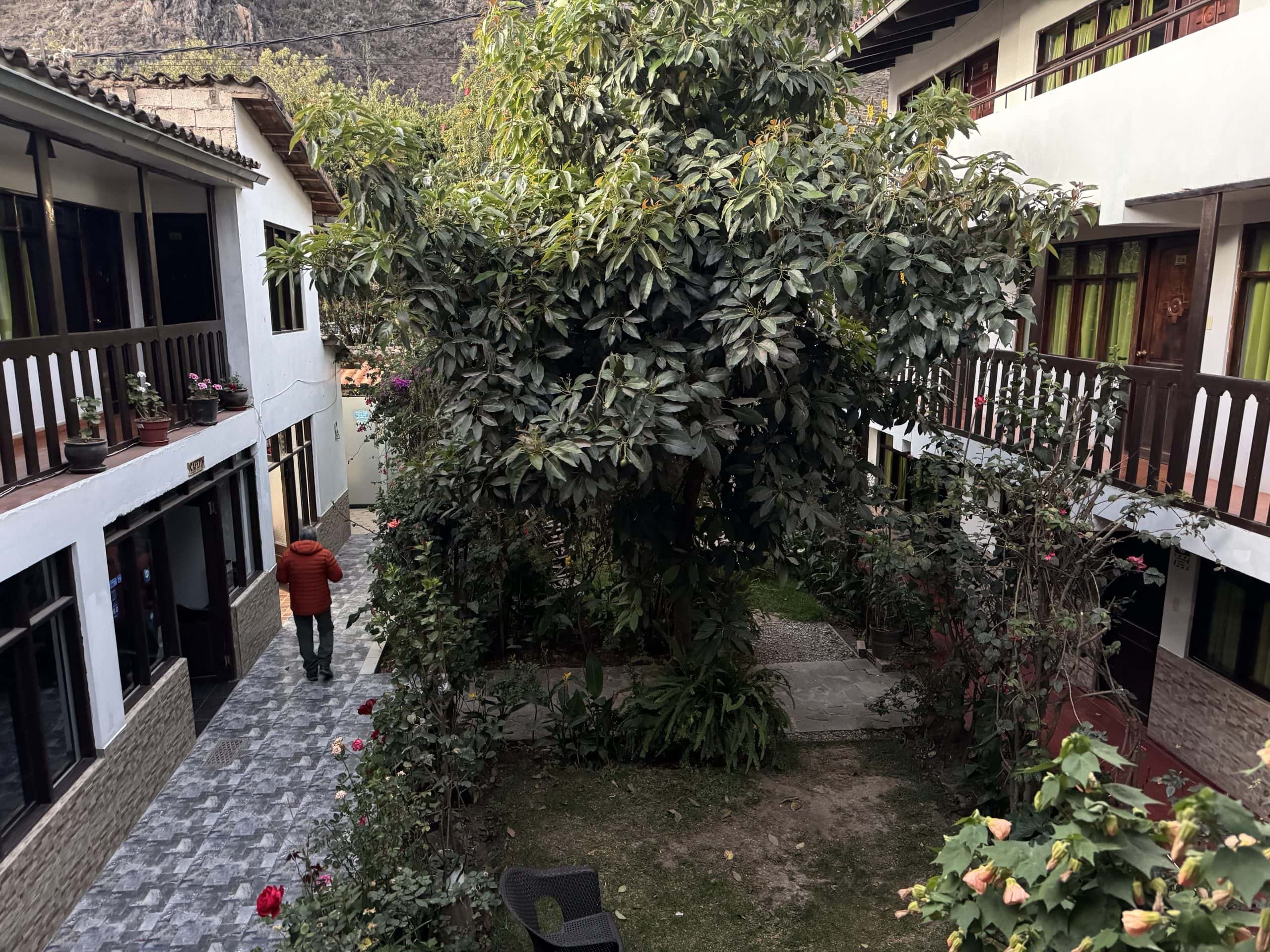 Courtyard garden with surrounding buildings