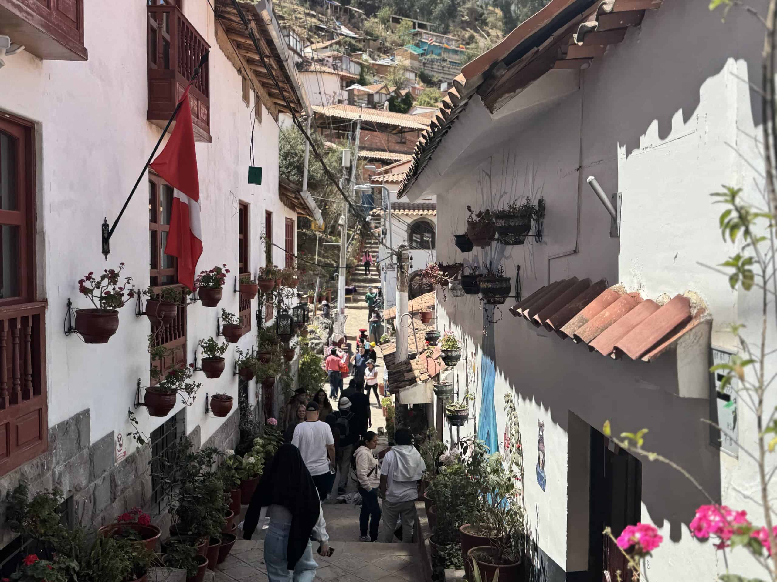 Narrow street with potted plants