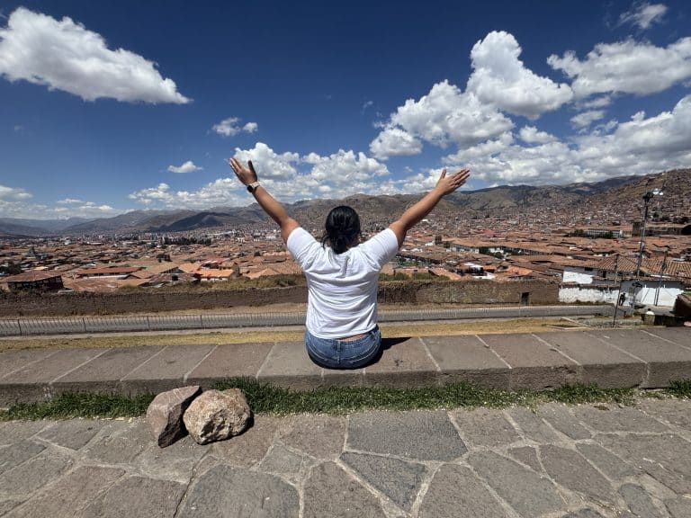 Person with arms raised overlooking city