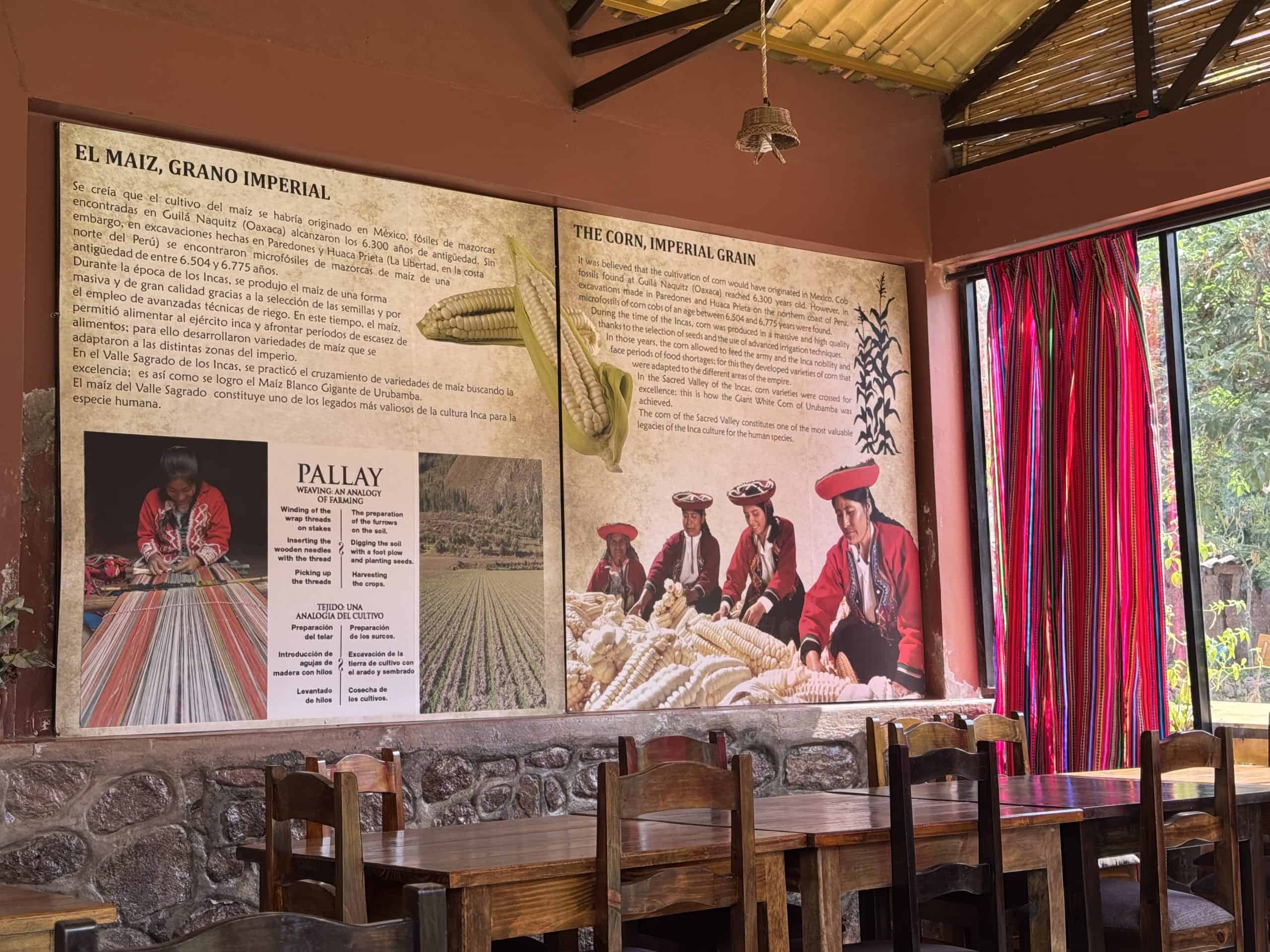 Wall display about Inca corn